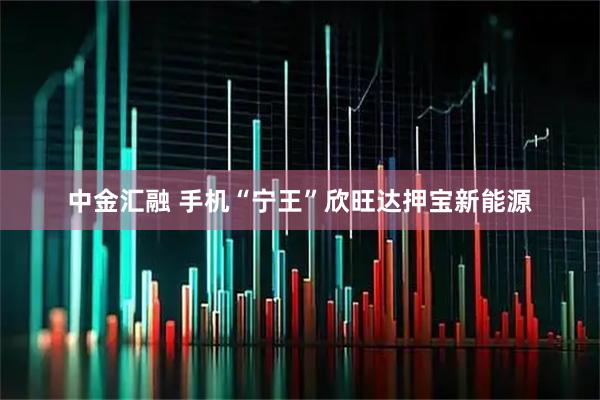 中金汇融 手机“宁王”欣旺达押宝新能源
