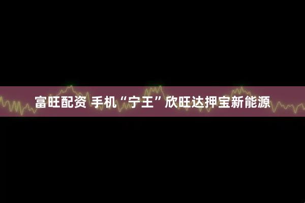 富旺配资 手机“宁王”欣旺达押宝新能源