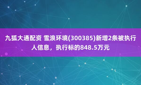 九狐大通配资 雪浪环境(300385)新增2条被执行人信息，执行标的848.5万元