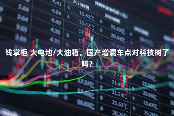 钱掌柜 大电池/大油箱，国产增混车点对科技树了吗？