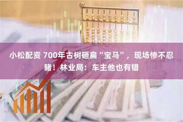 小松配资 700年古树砸扁“宝马”，现场惨不忍睹！林业局：车主他也有错