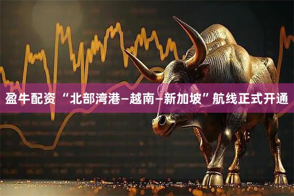 盈牛配资 “北部湾港—越南—新加坡”航线正式开通