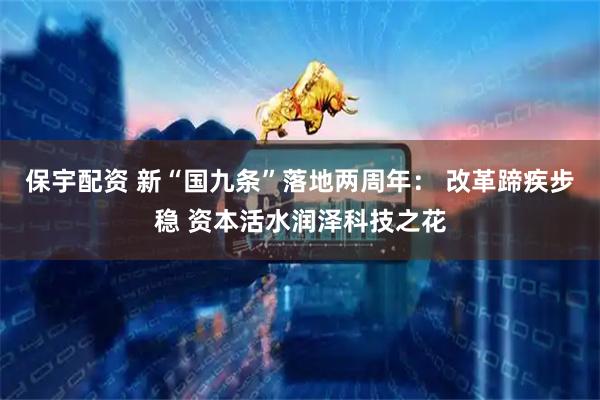 保宇配资 新“国九条”落地两周年： 改革蹄疾步稳 资本活水润泽科技之花